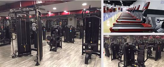 Press Sporting Commercial PRO Incline Flat Exercise Verstellbare Kurzhantel-Gymnastikbank
